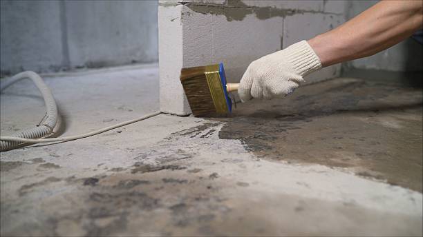 Top rated local Basement Waterproofing specialists in University Center, VA